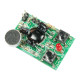 Voice Recorder/Playback Module-20 Second